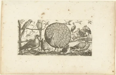 Achtzehn Vögel