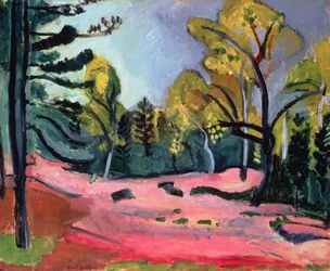 Wald von Fontainebleau