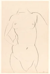 Torso