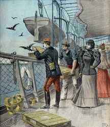Kapitän Reynaud experimentiert mit Brieftauben an Bord des Liners La Bretagne