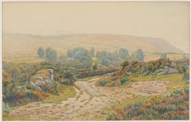 Nebel und Tau. Heidelandschaft von Pors Léonnec. Morgat