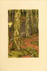 Waschplatz im Wald bei Loguivy