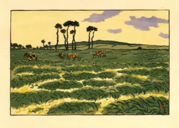 Kühe auf dem Feld von Garde-Guérin (Saint-Briac)