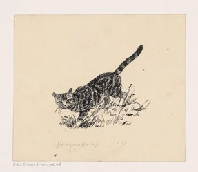 Katze
