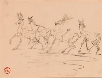 Hirsche und Hirschkühe