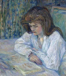Der Leser