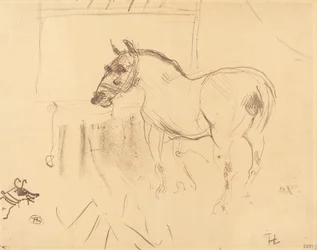 Das kleine Pony von Calmese