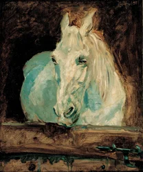 Das weiße Pferd Gazelle, 1881