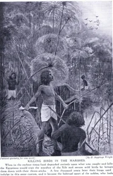 Vogeljagd in den Sümpfen, ca. 1920