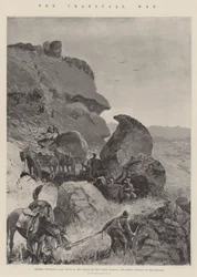 Der Transvaal-Krieg