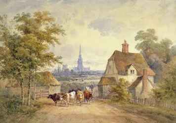 Kathedrale von Chichester, Sussex