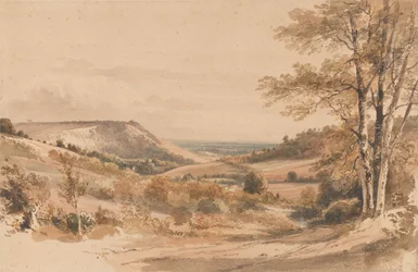 Boxhill von Westhumble Lane