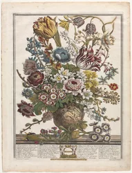 Zwölf Monate der Blumen: März, 1730