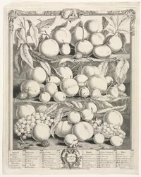 Zwölf Monate der Früchte: August