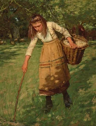 Die Wollsammlerin