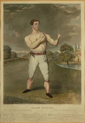 Tauber Burke