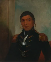 Großer Büffel (Chippewa)