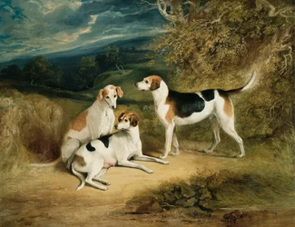 Die Hunde des Herzogs von Rutland mit Belvoir Castle in der Ferne