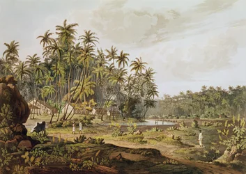 Ansicht in der Nähe von Point du Galle, Ceylon, graviert von Daniel Havell (1785-1826), veröffentlicht 1809