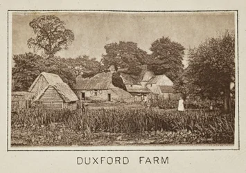 Duxford Farm
