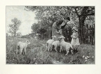 In der Gärtnerei