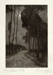 Mondschein in Holland