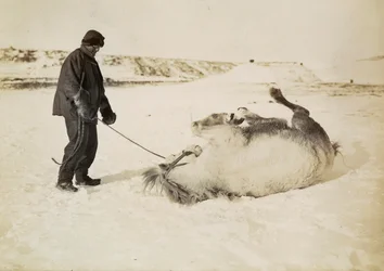Ein Mann und sein Pferd im Schnee