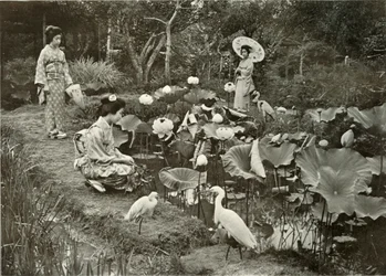 Im Lotus-Land, 1910