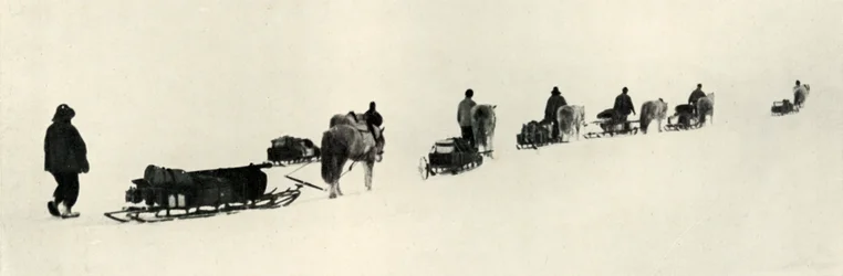 Ponys auf dem Marsch, 1911, 1913