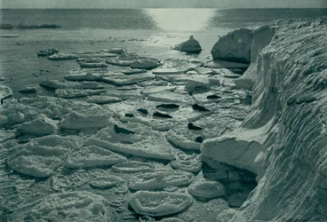 Robben sonnen sich auf neu gebildetem Pfanneneis vor Kap Evans, ca. 1910-1913, 1913