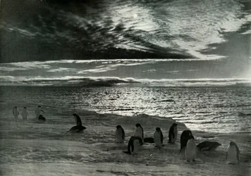 Die Mitternachtssonne im McMurdo-Sund, um 1910-1913, 1913