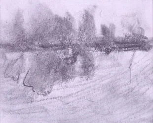 Eine Gruppe von Bäumen, die sich im Wasser spiegeln