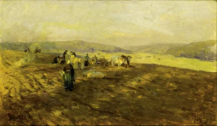 Kartoffelsammler