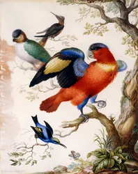 Vier Vögel im Wald