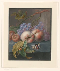 Früchte mit einem Schmetterling und einer Schnecke