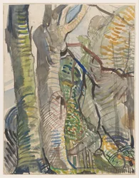 Waldlandschaft