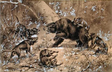 Bärenjagd