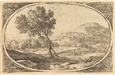 Eine Landschaft mit einem großen Baum