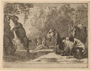 Ziegen