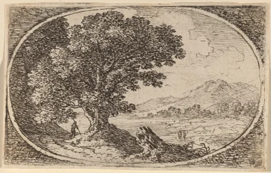 Pfad links von einem großen Baum und einem Baumstumpf