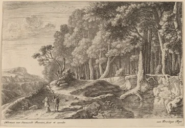 Wälder an einem Bach