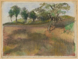 Gepflügtes Feld, von Bäumen gesäumt