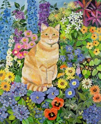 Gordons Katze, 1996