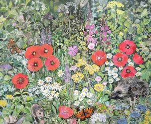 Igel zwischen den Blumen