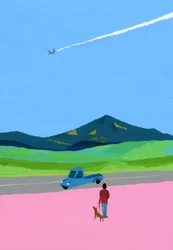 Flugzeug und Pickup-Truck und Hund und Wiese