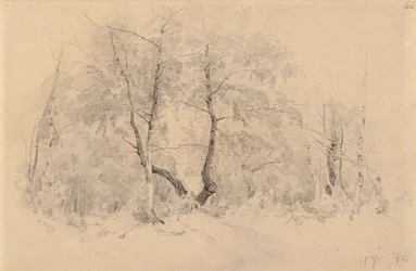 Birkenhain
