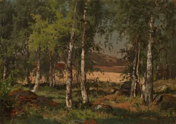 Landschaft mit Birkenhain und Roggenfeld