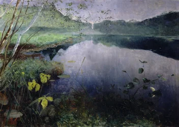 Aus Daelivannet