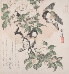 Sammlung Frühlingsregen Harusame shu, Band 3: Sumpfmeisen und Apfelblüten