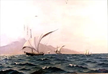 Portugiesische Fischerboote